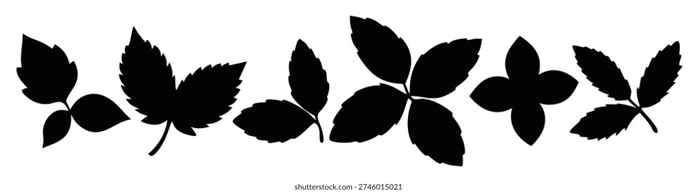 basil leaves silhouette set flat illustration on white