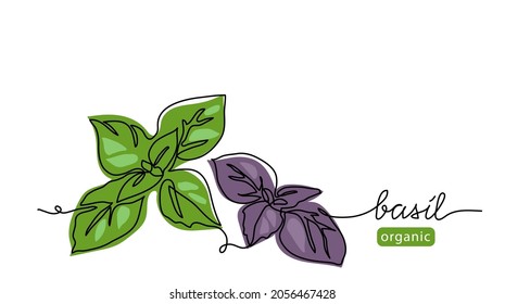 Basil Leaves Simple Vector Sketch Drawing. One Continuous Line Art Illustration For Background Or Pesto Sauce Label Design With Lettering Basil.