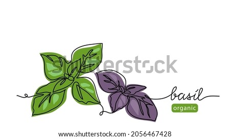 Basil leaves simple vector sketch drawing. One continuous line art illustration for background or pesto sauce label design with lettering basil.