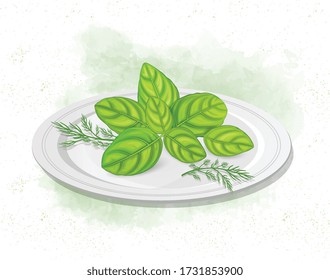 basilal deja ilustración vectorial en placa