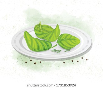Basil leaves spices in the plate  vector illustration 