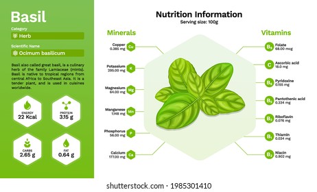 Basil leaves and their nutritional properties 