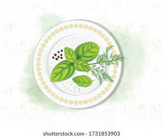 Basil leaves vector illustration from a top angle