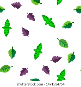 Basil Leaves Vector Seamless Pattern Color Flat Illustration