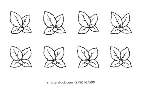 Basil line art illustration hand drawn nature inspired artwork