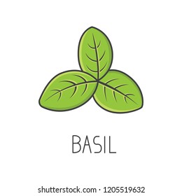 Basil line vector illustration, cooking isolated icon.
