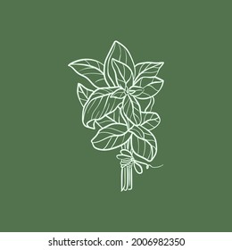 Basil Line vector illustration. Detailed Food icon for mobile concept, print, menu, and web apps. For for restaurant, bar, vegan, healthy and organic food, market, farmers market.