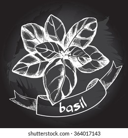 Basil on the blackboard. Vector Illustration.