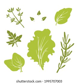 Basil, parsley, thyme, lettuce, rosemary. Colorful paper cut collection of culinary herbs and vegetables isolated on white background. Doodle hand drawn fruits. Vector illustration