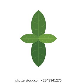 Basil plant icon flat vector. Leaf herb. Cooking food isolated