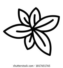 Basil plant icon. Outline basil plant vector icon for web design isolated on white background