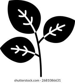 Basil Plant Leaves Vector Icon Illustration