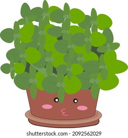 Basil plant on pot- herb at your home garden collection illustration