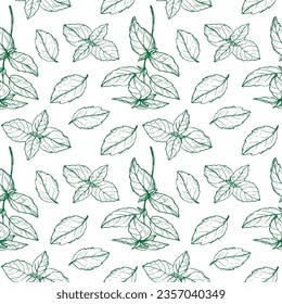 Basil plant seamless pattern drawing vector illustration repeating background. Decorative ornament with basil leaves branch, fragrant herb, spice,. For design, card, textile, print, paper, wrapping