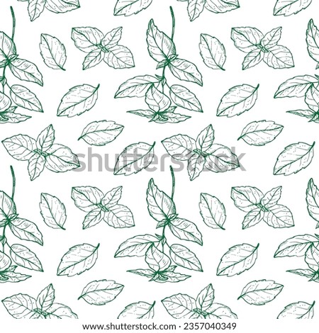 Basil plant seamless pattern drawing vector illustration repeating background. Decorative ornament with basil leaves branch, fragrant herb, spice,. For design, card, textile, print, paper, wrapping