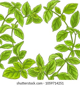 basil plant vector frame