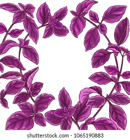 basil plant vector frame