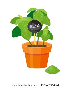 Basil poster of plant with label, aromatic herb growing in pot, powder and spicy condiment green color vector illustration isolated white background