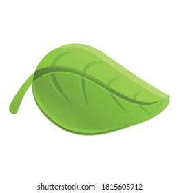 Icono de deleite de Basil. Caricatura del icono del vector del alivio de albahaca para el diseño web aislado en fondo blanco