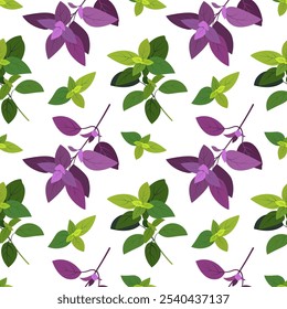 Basil seamless pattern. Cooking herbs and spices, Italian food and aroma herbs endless texture for wrapping design, hand drawn vector flat illustration. Basil  decorative seamless pattern design.