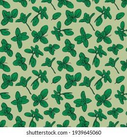  Basil Seamless Pattern. Italian herbs. Marjoram pattern. Hand-drawn illustration