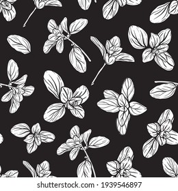  Basil Seamless Pattern. Italian herbs.A sprig of marjoram. Basil is a fragrant and fragrant seasoning. Hand-drawn illustration