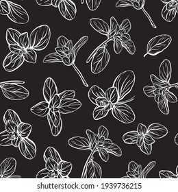  Basil Seamless Pattern. Italian herbs.A sprig of marjoram. Basil is a fragrant and fragrant seasoning. Hand-drawn illustration