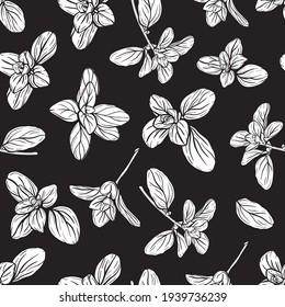  Basil Seamless Pattern. Italian herbs.A sprig of marjoram. Basil is a fragrant and fragrant seasoning. Hand-drawn illustration