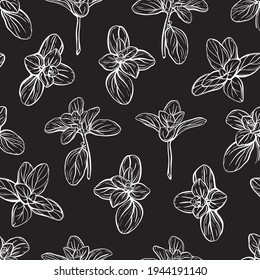  Basil Seamless Pattern. Italian herbs.A sprig of marjoram. Basil is a fragrant and fragrant seasoning. Hand-drawn illustration