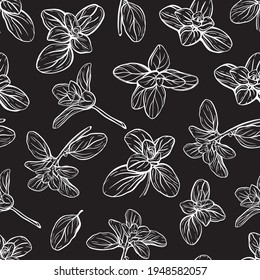  Basil Seamless Pattern. Italian herbs.A sprig of marjoram. Basil is a fragrant and fragrant seasoning. Hand-drawn illustration