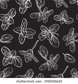  Basil Seamless Pattern. Italian herbs.A sprig of marjoram. Basil is a fragrant and fragrant seasoning. Hand-drawn illustration