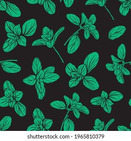 Basil Seamless Pattern. Italian herbs.A sprig of marjoram. Basil is a fragrant and fragrant seasoning. Hand-drawn illustration