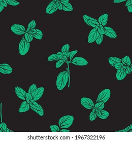 Basil Seamless Pattern. Italian herbs.A sprig of marjoram. Basil is a fragrant and fragrant seasoning. Hand-drawn illustration