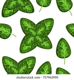 Basil seamless vector pattern
