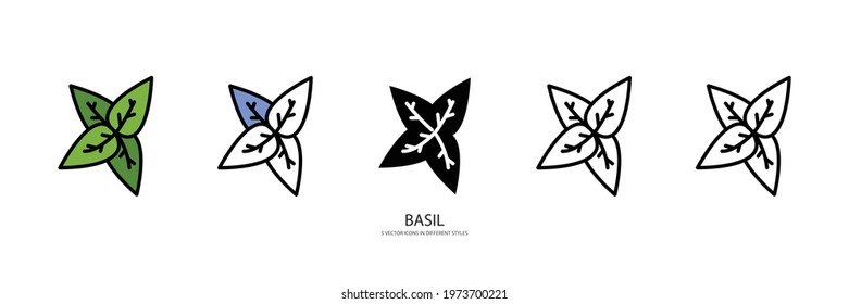 BASIL set vector type icon