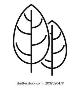 Basil spice icon outline vector. Cooking herb. Leaf plant