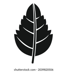 Basil spice leaf icon simple vector. Herb plant. Cooking aromatic