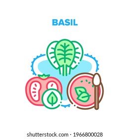 Basil Spice Vector Icon Concept. Basil Spice And Tomato Agricultural Vitamin Ingredients For Cooking Delicious Soup. Vegetable And Healthy Natural Vegetarian Food Color Illustration
