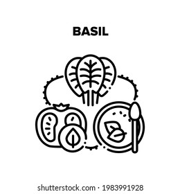 Basil Spice Vector Icon Concept. Basil Spice And Tomato Agricultural Vitamin Ingredients For Cooking Delicious Soup. Vegetable And Healthy Natural Vegetarian Food Black Illustration
