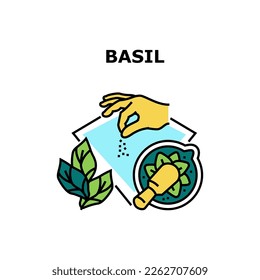 Basil Spice Vector Icon Concept. Basil Spice For Cooking And Flavoring Dish. Freshness And Natural Herbal Flavor For Delicious Tasty Meal. Vegetarian Vitamin Ingredient Color Illustration