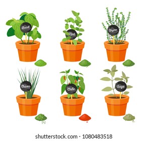 Basil thyme, chives chile, mint sage collection of spices, powder and condiments types, set vector illustration seasoning isolated on white background