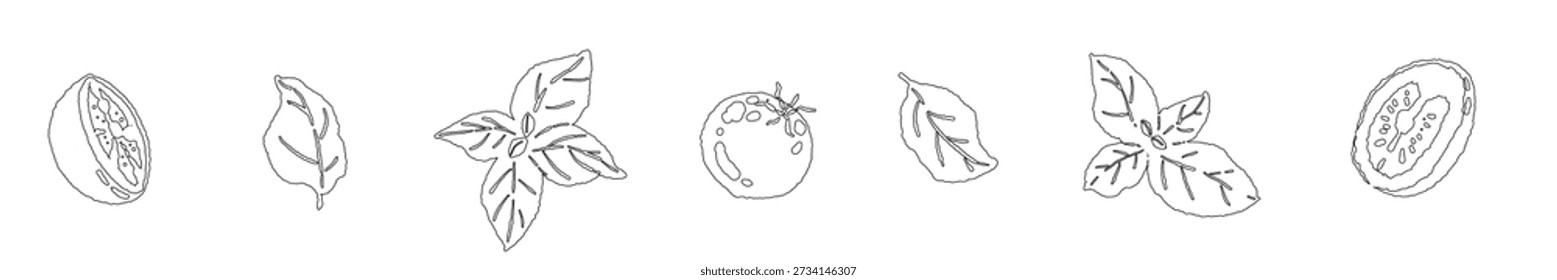 Divisor de línea de albahaca y tomate (denso)
