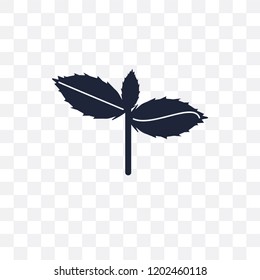 Basil transparent icon. Basil symbol design from Fruit and vegetables collection. Simple element vector illustration on transparent background.