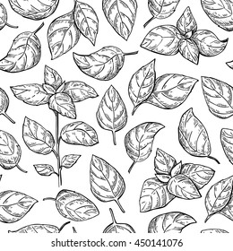 Basil vector drawing seamless pattern. Isolated plant with leaves background. Herbal engraved style illustration. Detailed organic product sketch. Cooking spicy ingredient