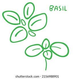 Basil. Vector icons on white background.