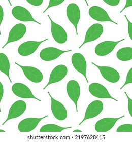 Basil Vector. Basil On White Background. Basil Pattern