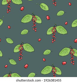 Basilic pattern with green leaves and red berries. Vector repeating botanical background. Doodle leaves and berries pattern. 