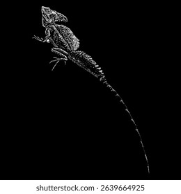 Basilisk Lizard hand drawing vector isolated on black background.