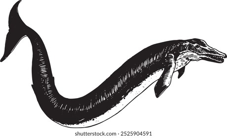 Basilosaurus - ilustración de ballena extinta de Vector dibujado a mano