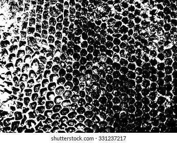 Basis for honey texture background